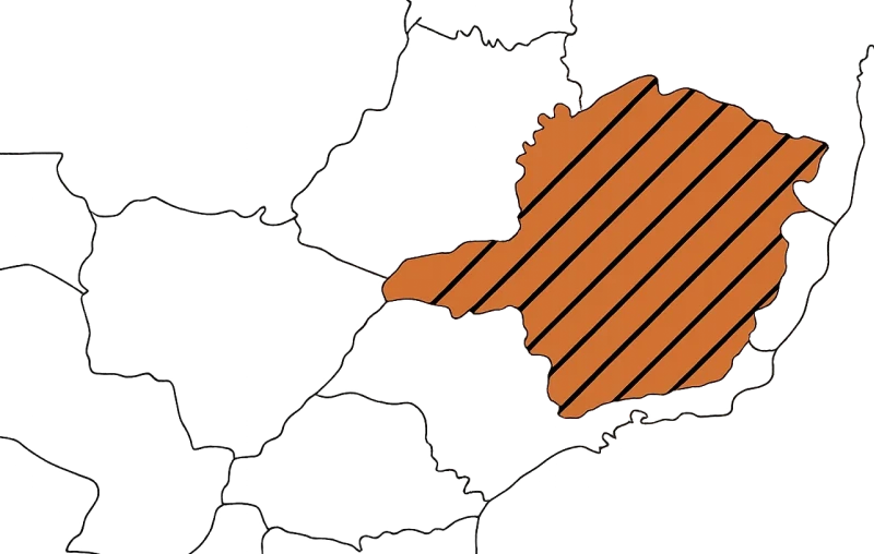 Map Icon
